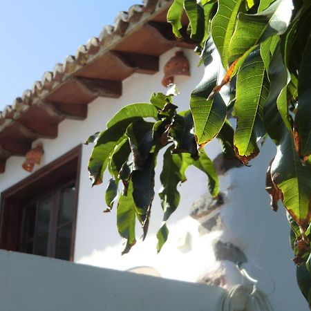 Villa Delfines Agulo Kültér fotó