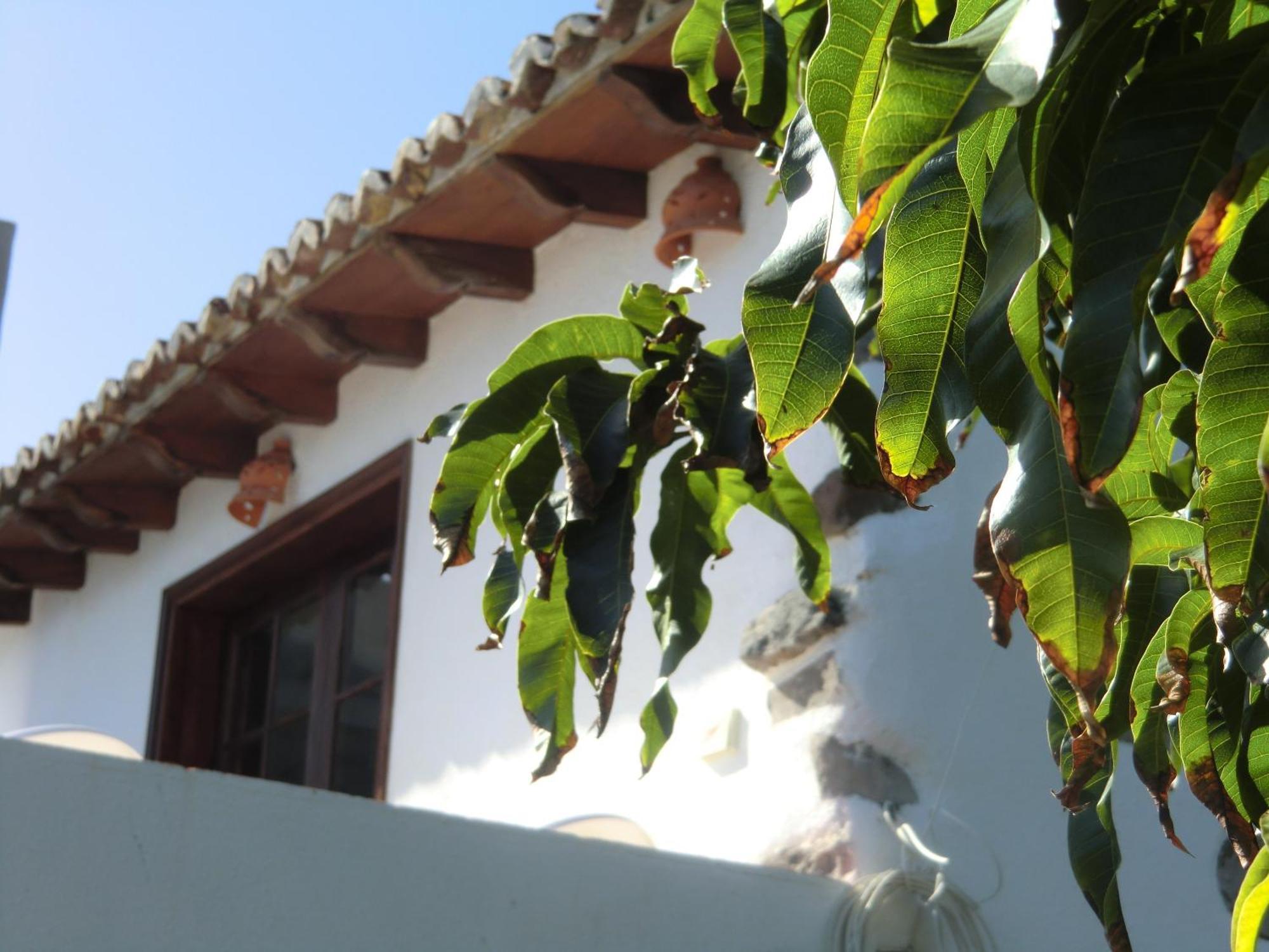 Villa Delfines Agulo Kültér fotó